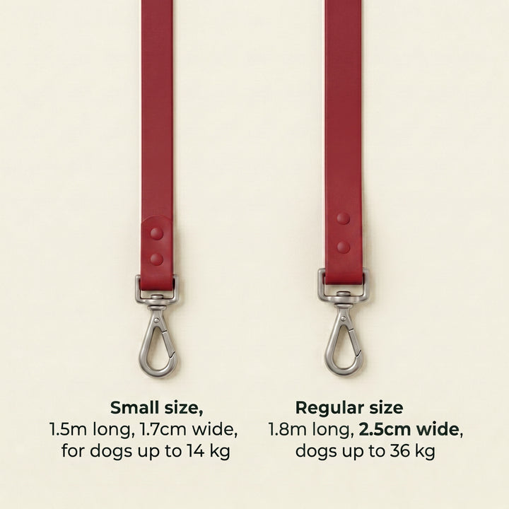 Sunday Sangria leash size infographic