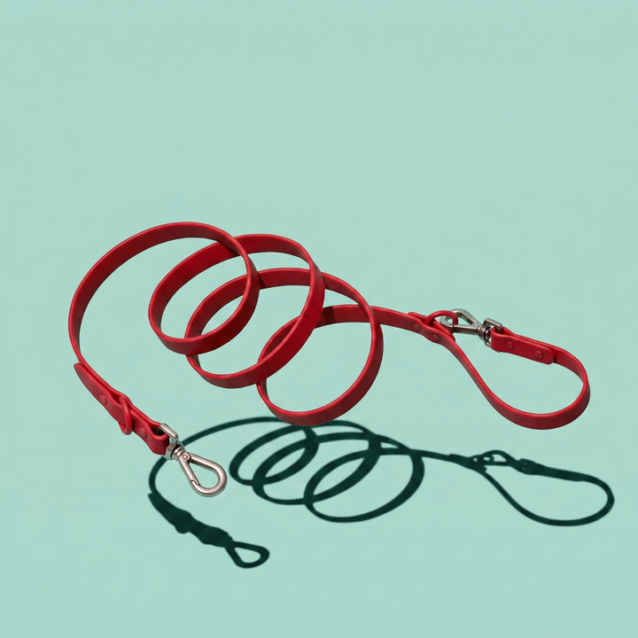 sunday sangria leash