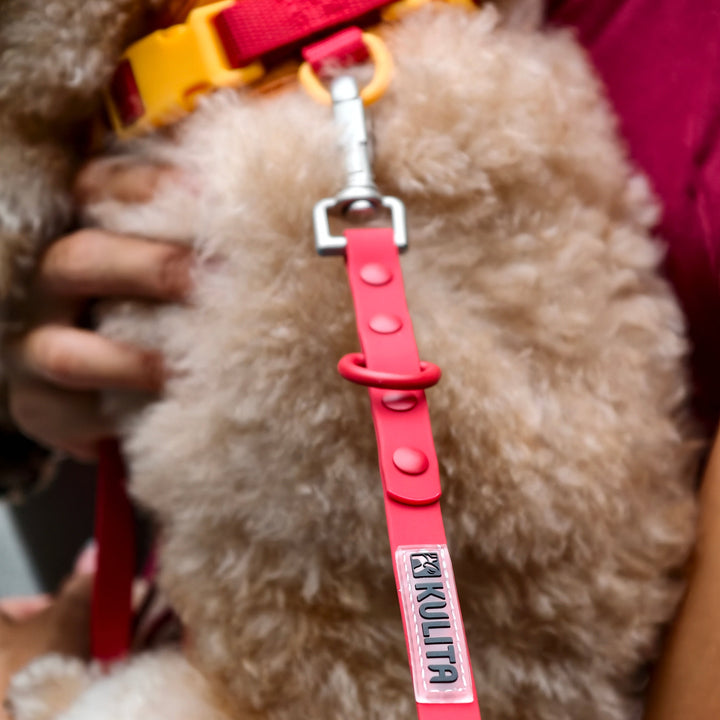 Sunday sangria detail hook leash