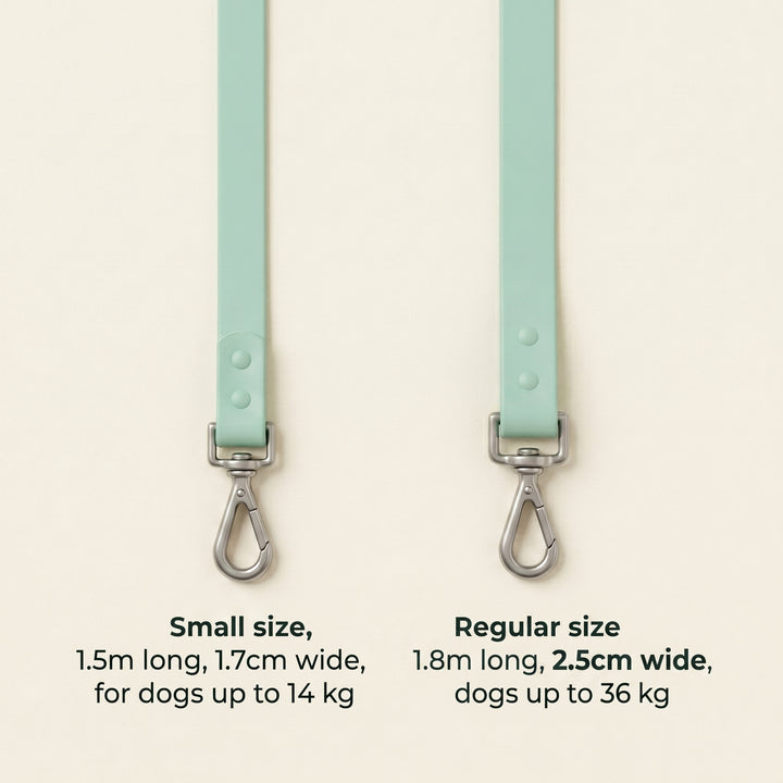 Saturday Salcedo leash size infographic