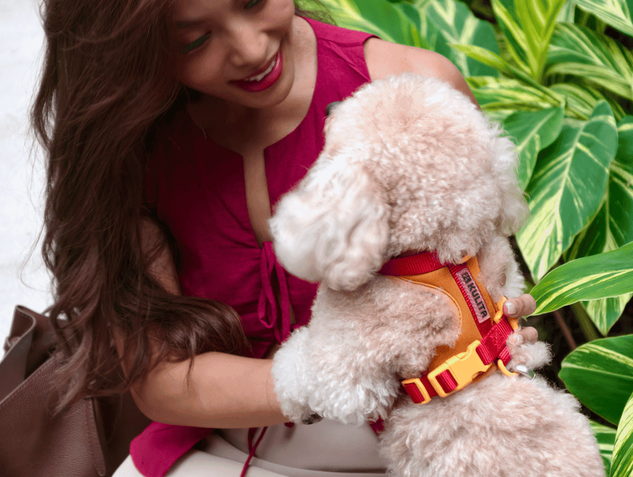 Editor with dog, Salcedo street