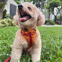 The Kulita Harness