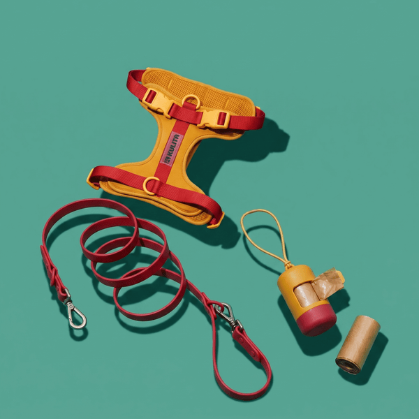 The Walking Kit